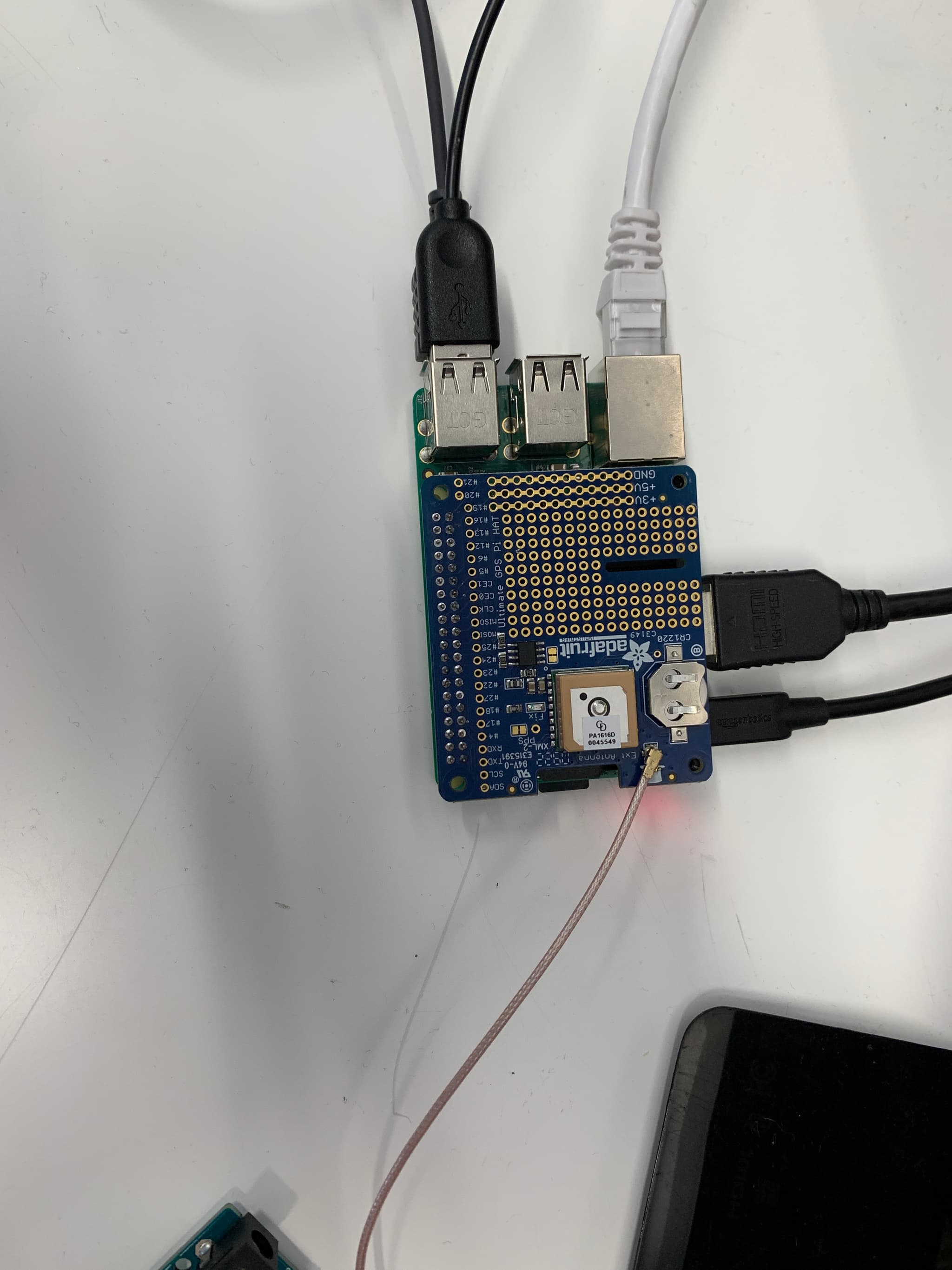 Kakapo project image 2